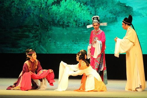 辦理營(yíng)業(yè)性演出許可證條件 代辦營(yíng)業(yè)性演出許可證