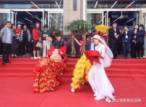 洛門(mén)宏亮家電盛大開(kāi)業(yè),第一場(chǎng)演出網(wǎng)紅明星齊助陣 組圖 ,今晚繼續(xù)直播