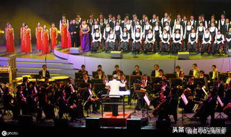 三叔咨詢 營業(yè)性演出許可證辦理后可以從事哪些業(yè)務