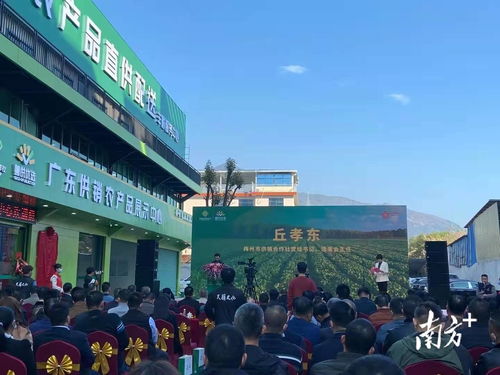 廣東供銷放心農(nóng)產(chǎn)品直供配送豐順子平臺掛牌開業(yè)