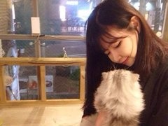 上海舉辦晚辦營業(yè)性演出許可證的具體條件價(jià)格及報(bào)價(jià)-機(jī)電商情網(wǎng)在線產(chǎn)品報(bào)價(jià)